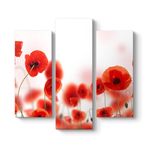 Gelincikler Tablosu 96 x 90-3 Parçalı