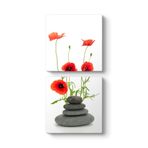 Gelincikler ve Taşlar Tablosu 60 x 123-2 Parçalı