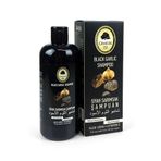 Gemilik Alovera Vitamin E Destekli 400 ml Siyah Sarımsak Şampuanı