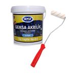 Gemsa Akrilik Şampanya 1 kg Dış Cephe Boyası