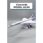 Genç 3D Concorde Yolcu Uçağı Modeli | Koleksiyonluk Dekoratif Maket | 3D Tasarım