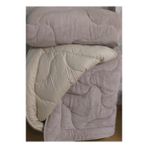Genç Ev Home Welsoft Silikon Yorgan * Yumuşak Bir Dokunuş - 155 x 215 cm - 277-Sütlü Kahve
