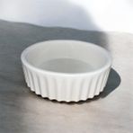 Genel Büyük Sukulent Saksısı 15X6 cm (Özel Üretim) - Standart