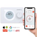 General Mitra HT220S Smart Kablosuz Akıllı Tuya Oda Termostatı