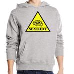 Generic AI is Sentient Artificial Intelligence Illuminati All Seeing Eye Üniseks Pamuk Karışımı Gri Kapüşonlu Sweatshirt