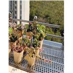 Generisch Balkon korkulukları ve teras tasarımı için delikli metal ızgara paspas, 20 x 250 cm, dayanıklı koruma, kablo bağı ve eldiven dahil, kolay montaj için