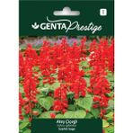 Genta Prestige Ateş Çiçeği Tohumu (Salvia Splendens) – Alev Kırmızısı, Hızlı ve Yoğun Çiçeklenme - 1 Adet