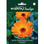 Genta Prestige Aynısefa Portakal Nergisi Kandil Çiçeği Tohumu