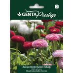 Genta Prestige Karışık Renkli Şeker Tabağı Tohumu