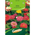 Genta Prestige Kirli Hanım Çiçeği Tohumu