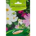Genta Prestige Kozmos Çiçeği Meksika Yıldızı Tohumu
