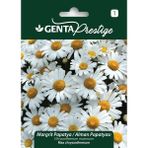 Genta Prestige Margrit Papatya (Chrysanthemum Maximum) Tohumu – Çok Yıllık, Kolay Yetişen Bahçe Papatyası - 1 Adet