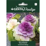 Genta Prestige Süs Lahanası Tohumu