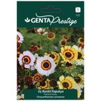 Genta Prestige Üç Renkli Papatya Çiçek Tohumu