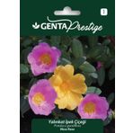 Genta Prestige Yalınkat İpek Çiçeği Tohumu