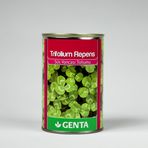 Genta Trifolium Repens