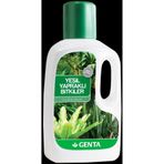 Genta Yeşil Yapraklı Bitki Sıvı Besini