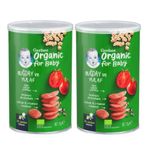 Gerber 2x35 gr Organik Buğday ve Yulaflı Bebek Atıştırmalığı
