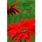 Gerber Daisy Dream Journal: Features a Signature Page, along with 124 lined pages to record your dreams.