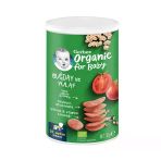 Gerber Organik Buğdaylı Yulaflı Kraker 35 G 3 Adet