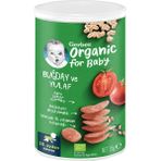 Gerber Organik Buğdaylı Yulaflı Kraker 35 G 5 Adet