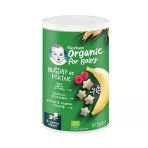 Gerber Organik Pirinçli Buğdaylı Kraker 35 G 3 Adet