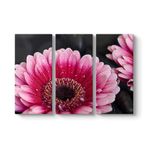 Gerbera Çiçeği Tablosu 111 x 75-3 Parçalı