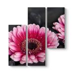 Gerbera Çiçeği Tablosu 96 x 100-3 Parçalı