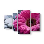 Gerbera & Taşlar Tablosu 119 x 80-4 Parçalı