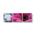 Gerbera & Taşlar Tablosu 126 x 40-3 Parçalı
