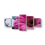 Gerbera & Taşlar Tablosu 127 x 56-5 Parçalı