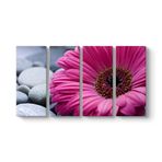 Gerbera & Taşlar Tablosu 129 x 70-4 Parçalı
