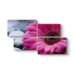 Gerbera & Taşlar Tablosu 143 x 83-4 Parçalı