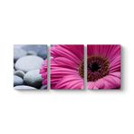 Gerbera & Taşlar Tablosu 156 x 70-3 Parçalı