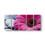 Gerbera & Taşlar Tablosu 162 x 70-5 Parçalı