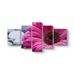 Gerbera & Taşlar Tablosu 182 x 90-5 Parçalı