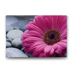 Gerbera & Taşlar Tablosu - 60x40cm