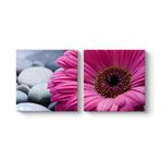 Gerbera & Taşlar Tablosu 83 x 40-2 Parçalı