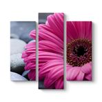 Gerbera & Taşlar Tablosu 96 x 90-3 Parçalı