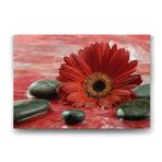 Gerbera ve Siyah Taşlar Tablosu - 100x70cm