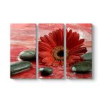 Gerbera ve Siyah Taşlar Tablosu 111 x 75-3 Parçalı