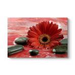 Gerbera ve Siyah Taşlar Tablosu 140 x 100