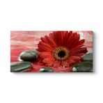 Gerbera ve Siyah Taşlar Tablosu 140 x 70