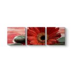 Gerbera ve Siyah Taşlar Tablosu 186 x 60-3 Parçalı