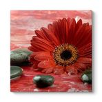 Gerbera ve Siyah Taşlar Tablosu 30 x 30