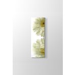 Gerbera Yansıması Tablosu