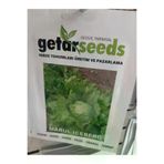 Getar Seeds marul ıceberg tohumu 1 paket TYC2IYHVGN170211429868717