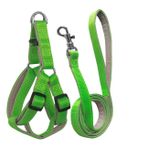 Gezdirme Kayisli Dokuma Kopek Gogus Tasma Seti 52*73-110 Cm Neon Yesil