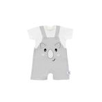 Gezenbebe Hero Kısa Kol Bebek T-Shirt & Nakışlı Salopet Seti Koala 3-6 Ay