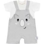 Gezenbebe Hero Kısa Kol Bebek T-Shirt & Nakışlı Salopet Seti Koala - 6 - 9 Ay - Gri